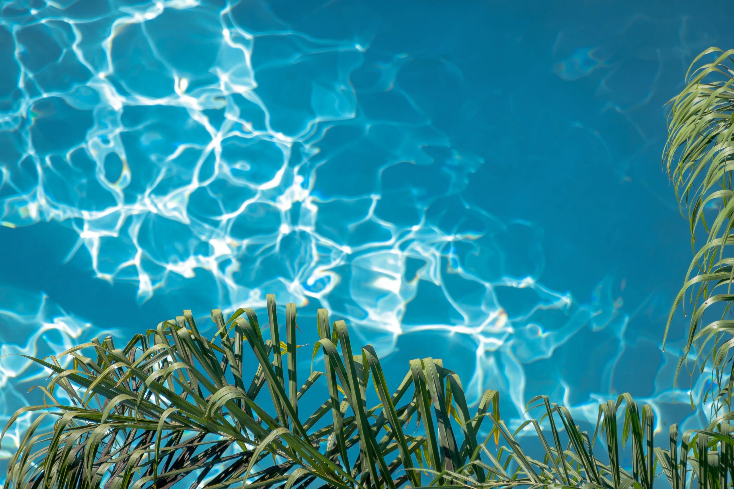 professional pool technician San Diego